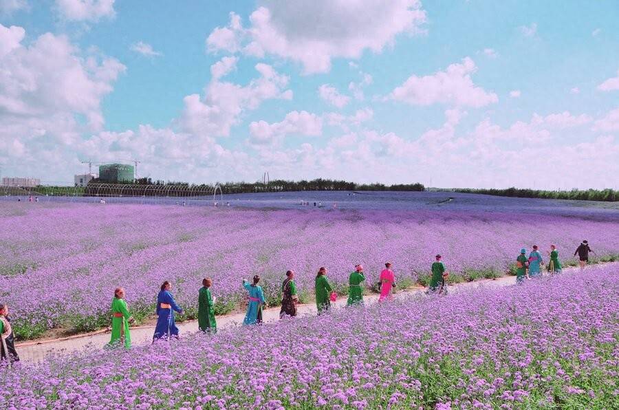 路文旅+农产品联动点亮中亚市场CQ9电子网站伊犁薰衣草香飘丝(图2)